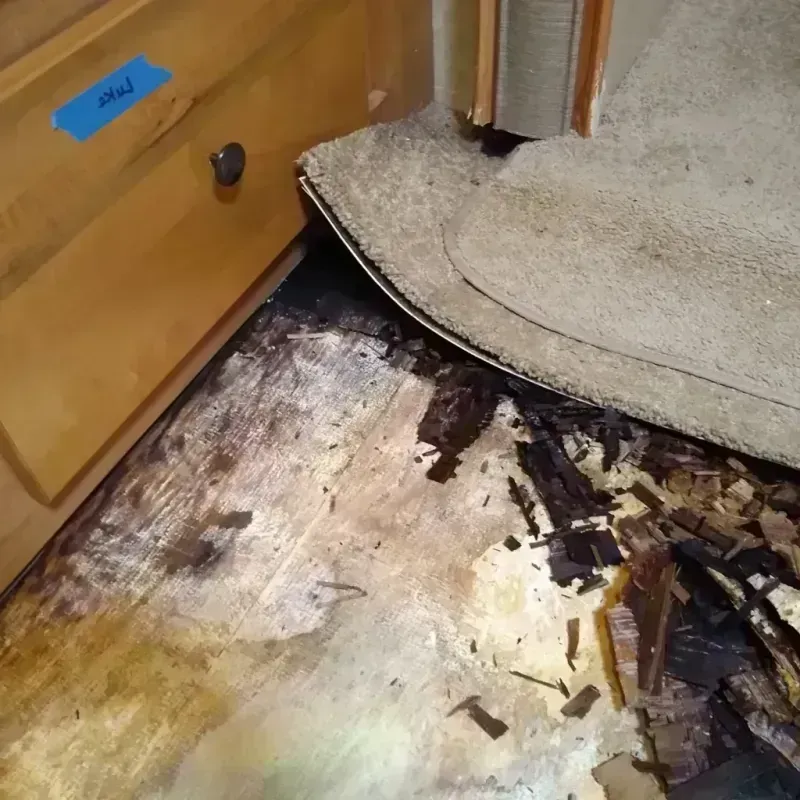 Wood Floor Water Damage in Hemphill, TX